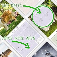 Vista 1518 de Razas de Perros 2017