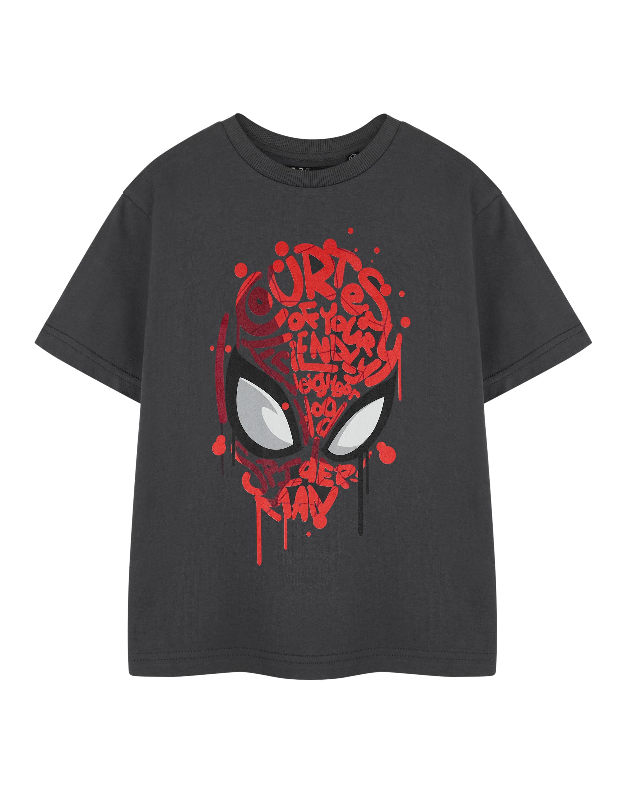 Vanilla Underground Boys Grey Marvel Friendly Neighbourhood Kids Short Sleeved T-Shirt - 2-3 Years