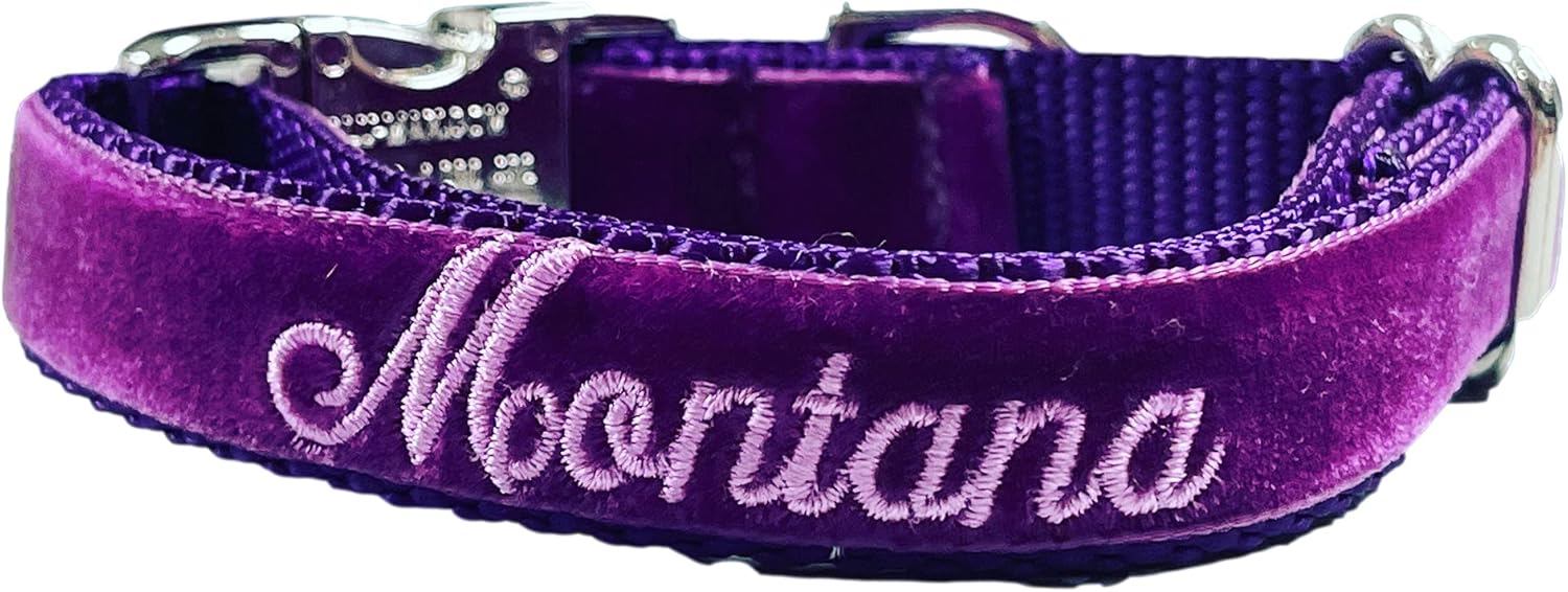 Personalized Dog Collar Embroidered with Pet Name and Leash Option - Premium Velvet Custom Dog Collar for Boy & Girl Dogs, Small Medium Large Dogs (Large 1 x 15-24")