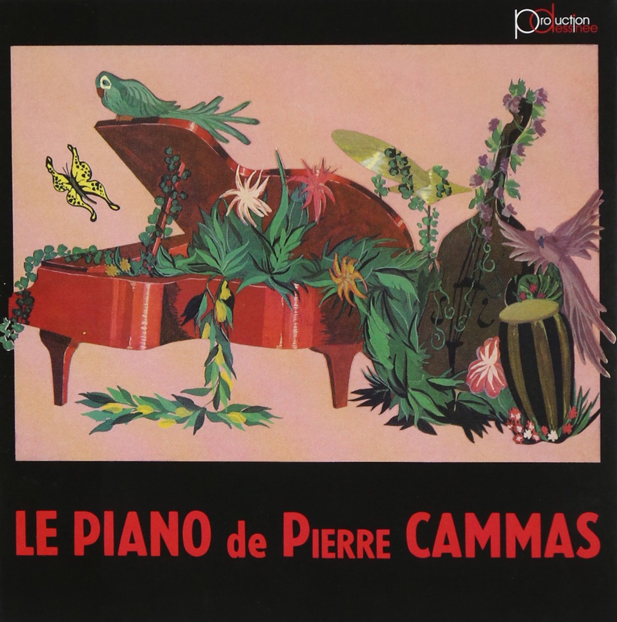 Le Piano De Pierre Cammas