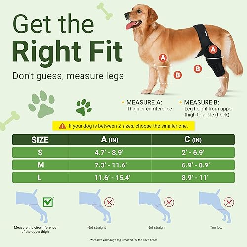 Miniatura 3 de HVSun Rodillera para perro para pierna trasera y trasera, soporte para perro ACL CCL Lesión del ligamento cruzado dolor articular y dolor muscular