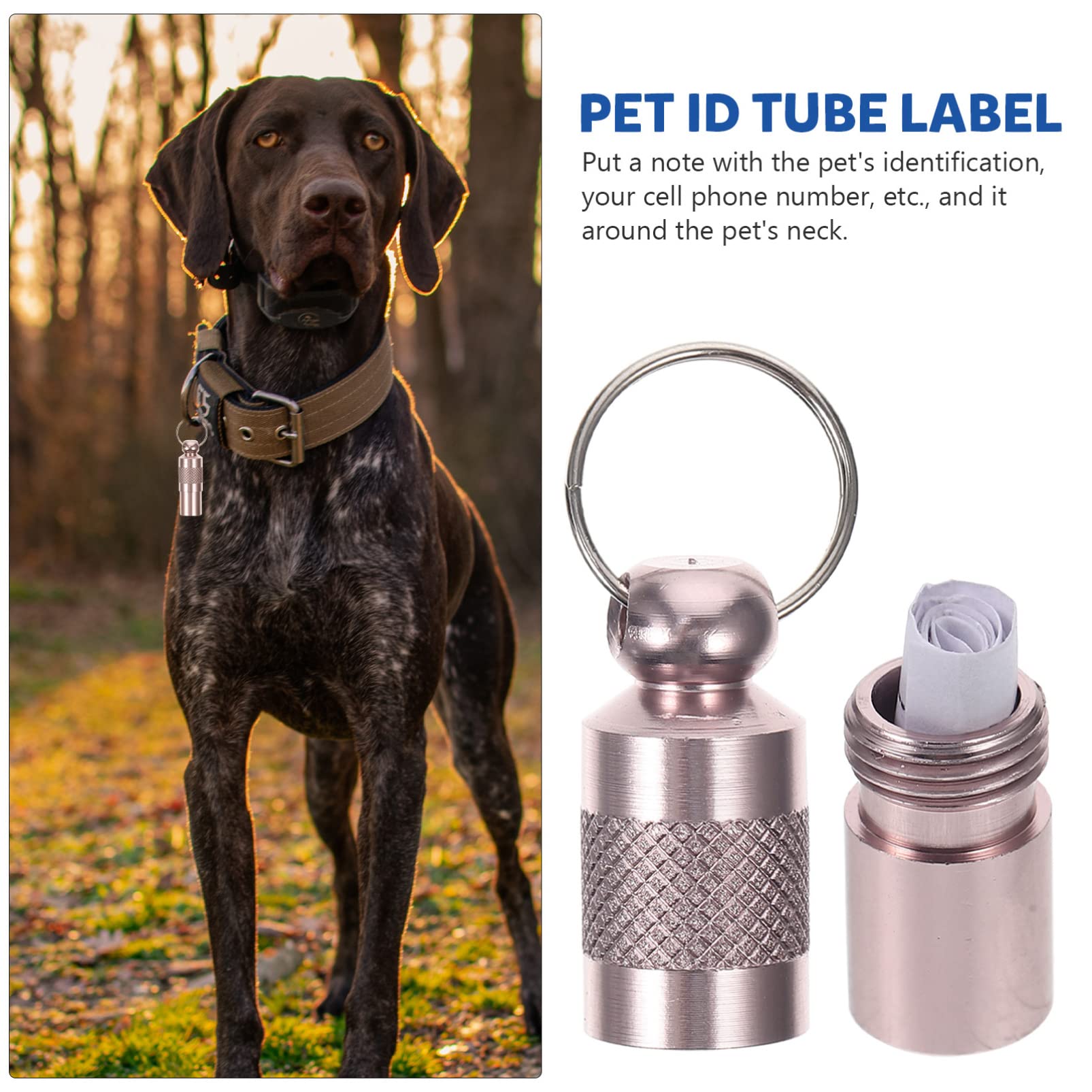 Didiseaon 4 Set di Targhette Identificative Personalizzate per Animali Domestici - Targhetta per Cani E Gatti Smarriti con E Indirizzo Collare Tubolare 6 Pezzi*4