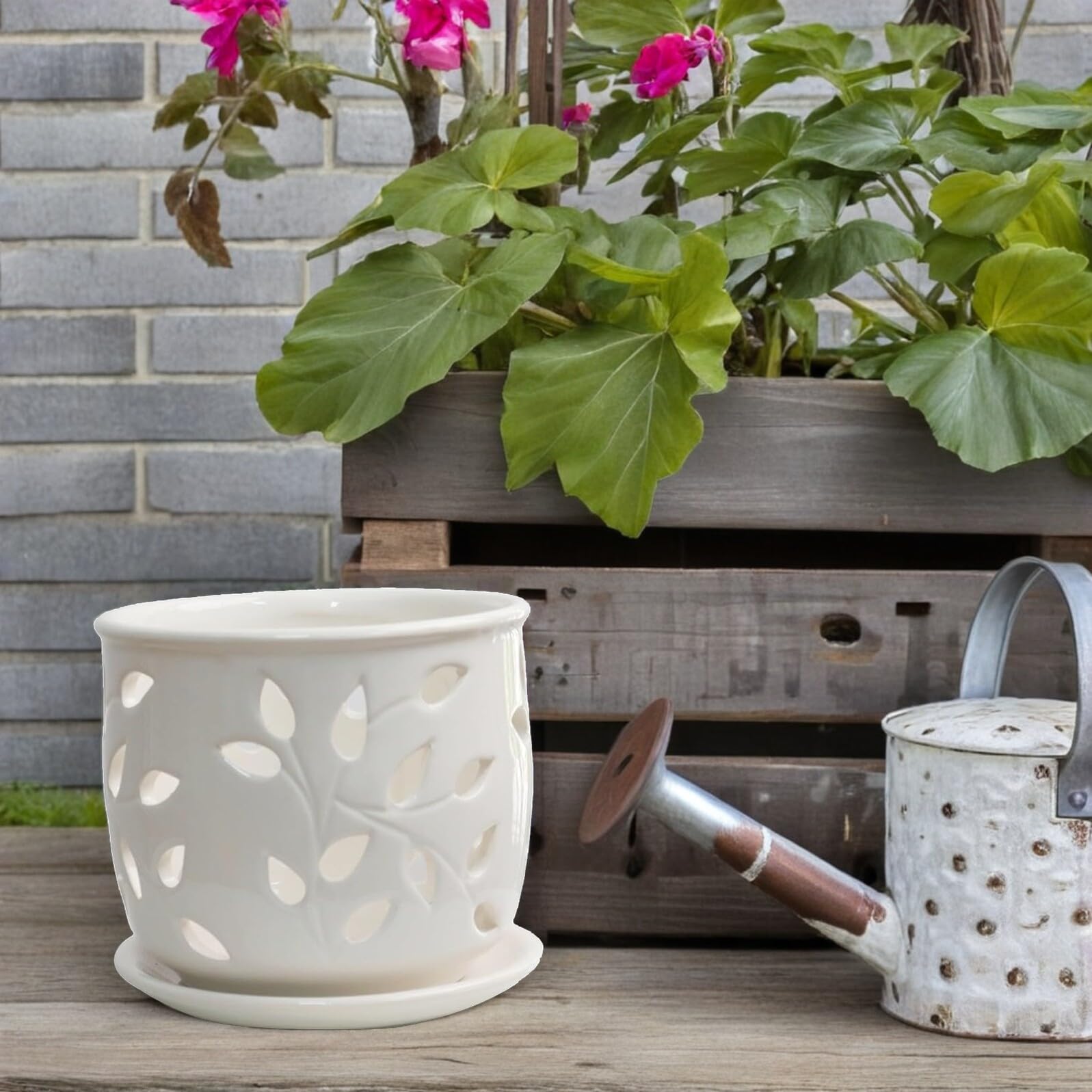 Levemolo Ceramiczne Doniczki Porowate Do Roślin Doniczkowych Do Użytku Na Zewnątrz Doniczki Ceramiczne Doniczka Na Storczyki Doniczka Na Storczyki Z Tacką