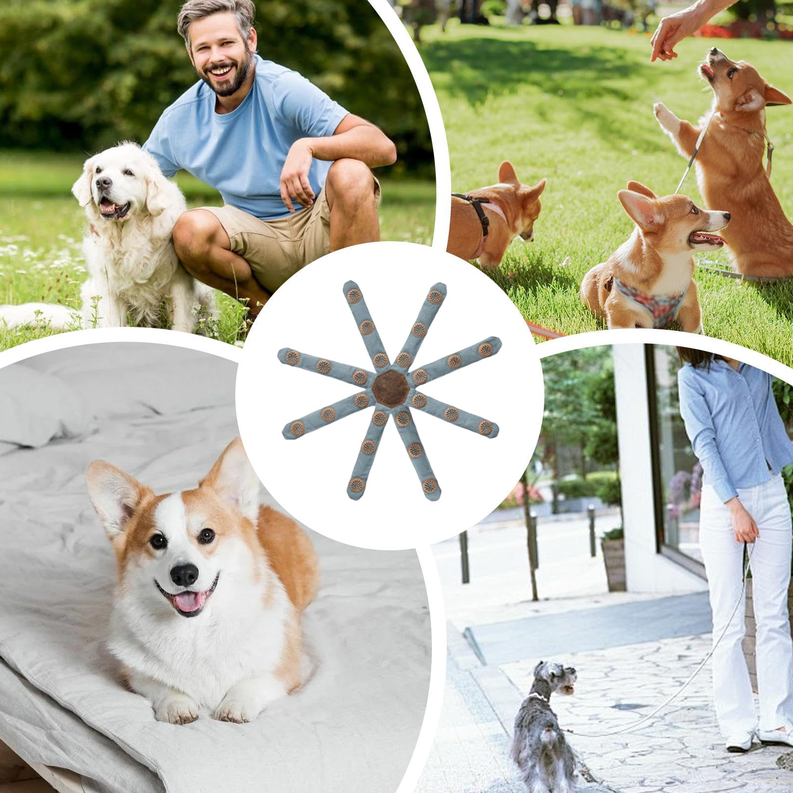 Juguetes Mordedores Perros Mordedor Interactivo Lavable e Impermeable | Juguetes Para Perros Pequeños Para interior exterior viaje piscina parque patio dormitorio jardín familia