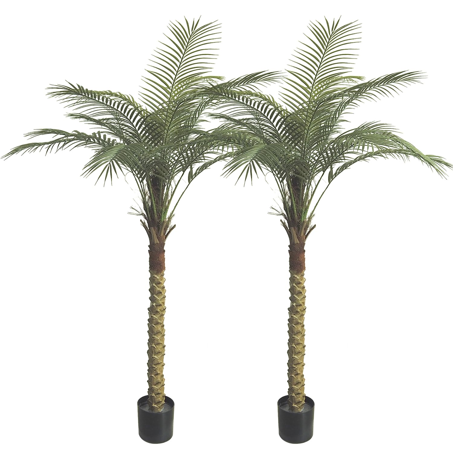 G&A love SK 2-Pack 5.8ft Palm Trees