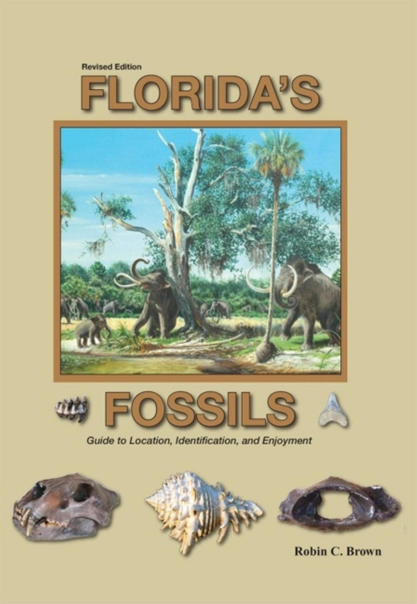 Florida's Fossils: Guide to Location, Identification and Enjoyment