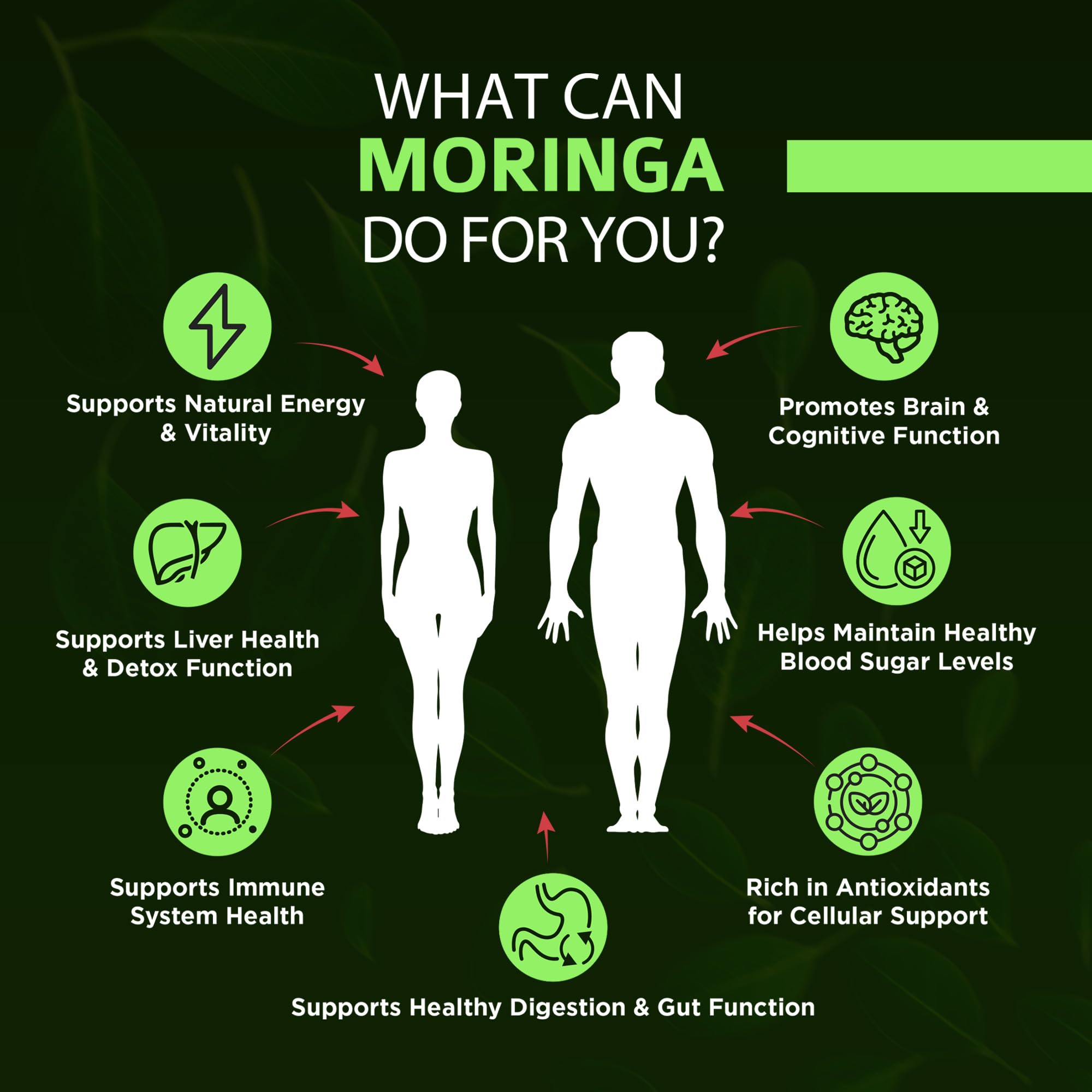 OmniBiotics Organic Moringa Capsules 1000mg Per Serving, 120 Vegan Capsules - 20:1 Moringa Oleifera Extract Supplement for Energy, Immune & Antioxidant Support for Women & Men, Made in USA, 60 Days — Amazon image 4
