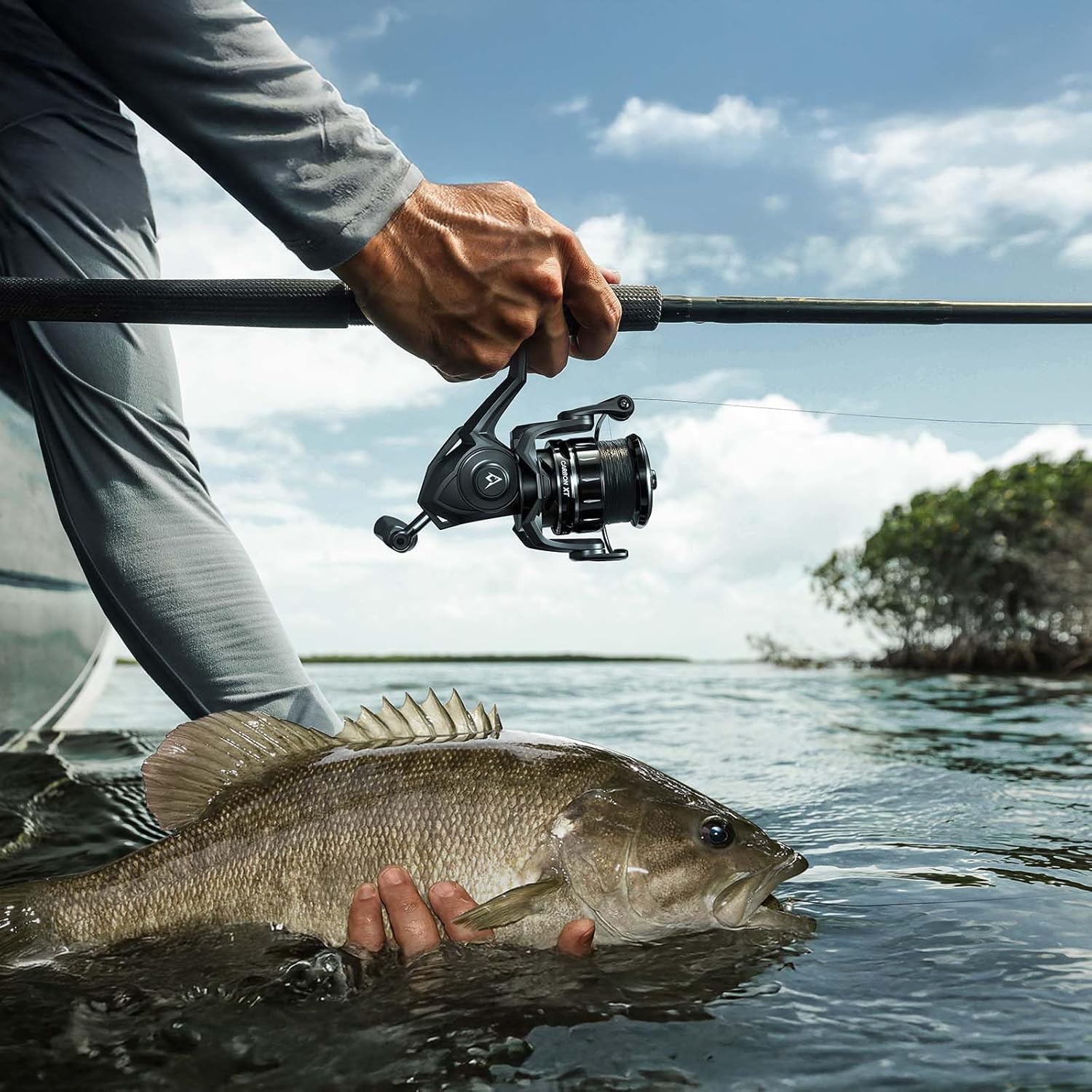 Piscifun Carbon XT Spinning Reels, Light to 5.5oz, Carbon Frame and Rotor, 22LBs Max Drag, 8+1 Shielded BB, 5.2:1 Gear Ratio, Smooth Powerful Freshwater Spinning Fishing Reel, 1000, 2000, 3000