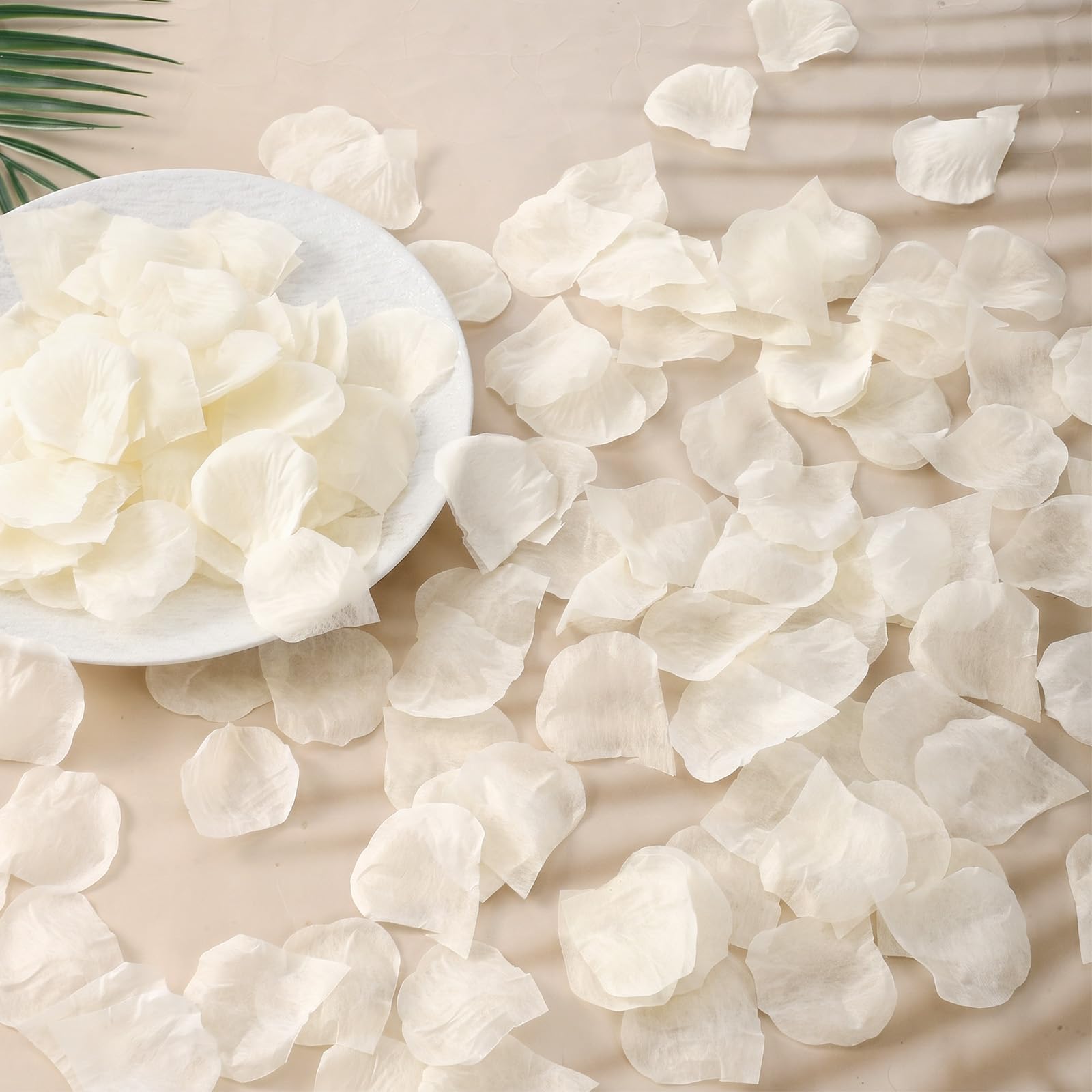 View 4