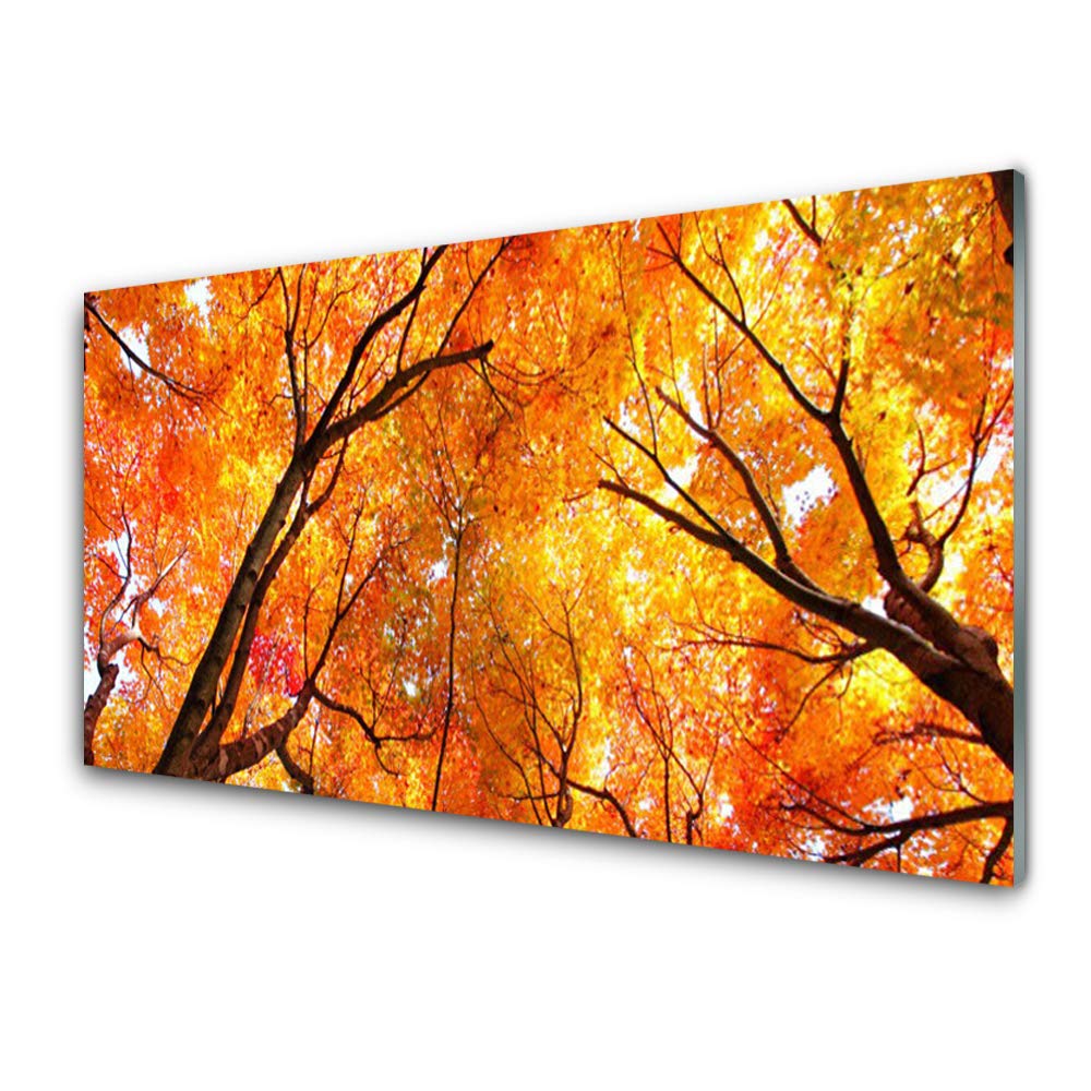 Tableau Moderne Nature Arbres en Verre Trempé 100x50cm pour Sublimer un Mur