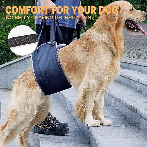 Miniatura 4 de Soporte de elevación para perros y arnés de rehabilitación para patas traseras débiles, para ayuda canina y rehabilitación de ligamentos cruzados
