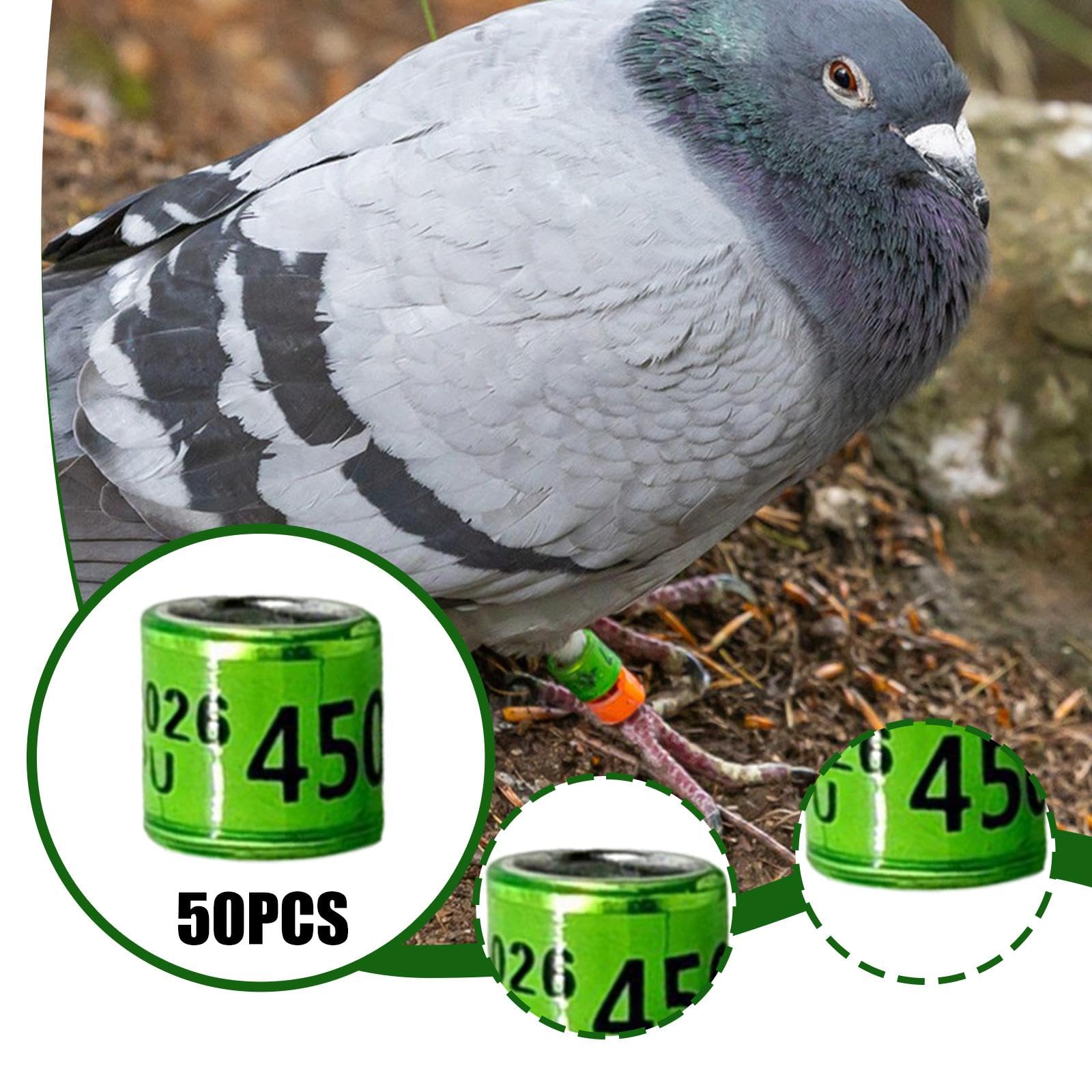 Amazon.co.jp: Jinhxofs 50個パック 鳩足輪 ランダム番号 鳩足輪 軽量