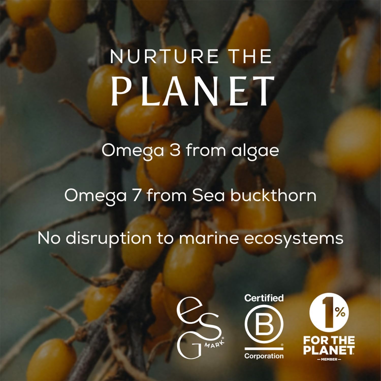 Ancient + Brave True Omegas+ 60 Capsule di Omega 3 e Omega 7 Vegane - Integratore alimentare con acidi grassi essenziali di origine vegetale per pelle, cuore e occhi.