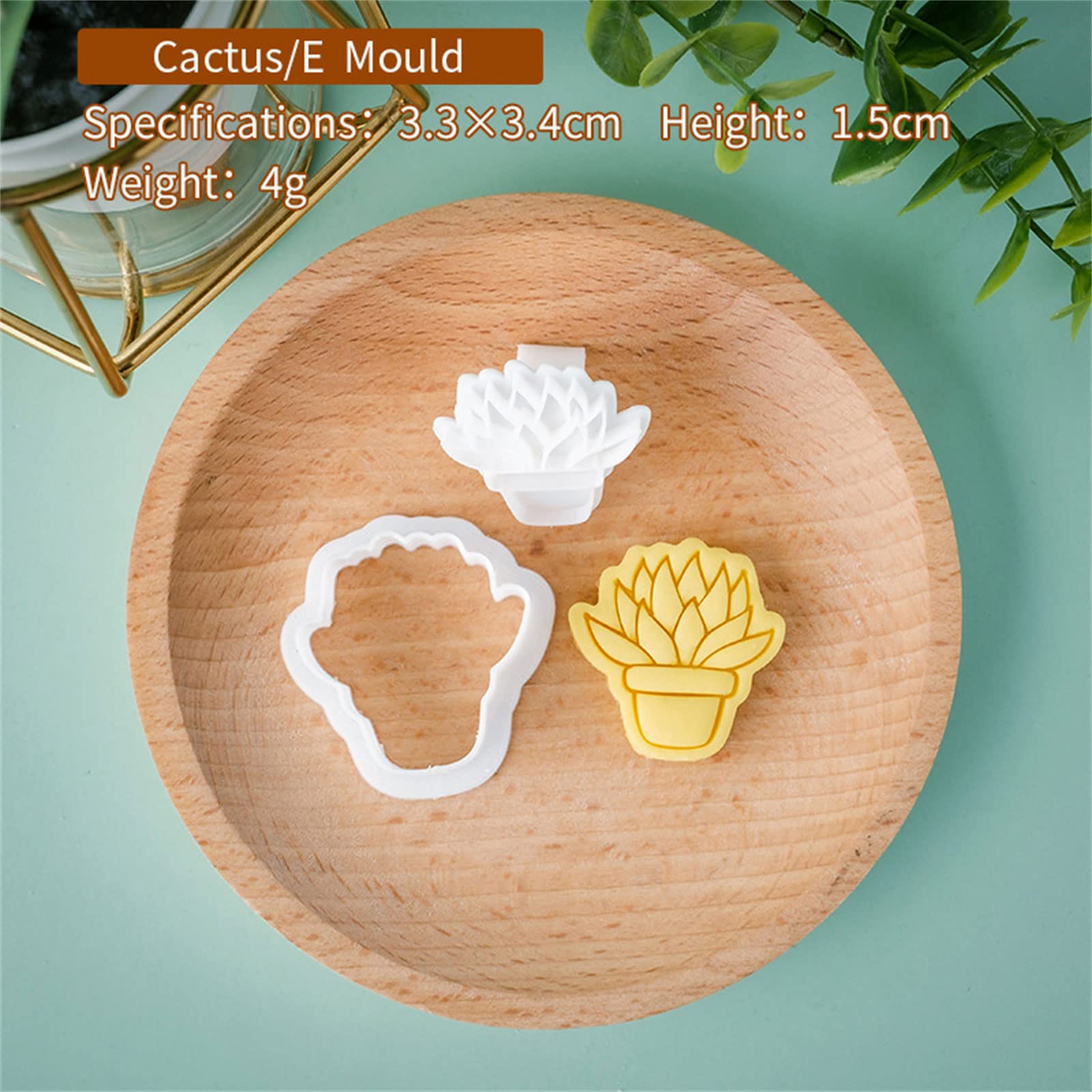monstera indonesian marble Variegated Monstera Adansonii Mint Plant - Rare Indonesian Marble - Potted  Houseplant main image 0