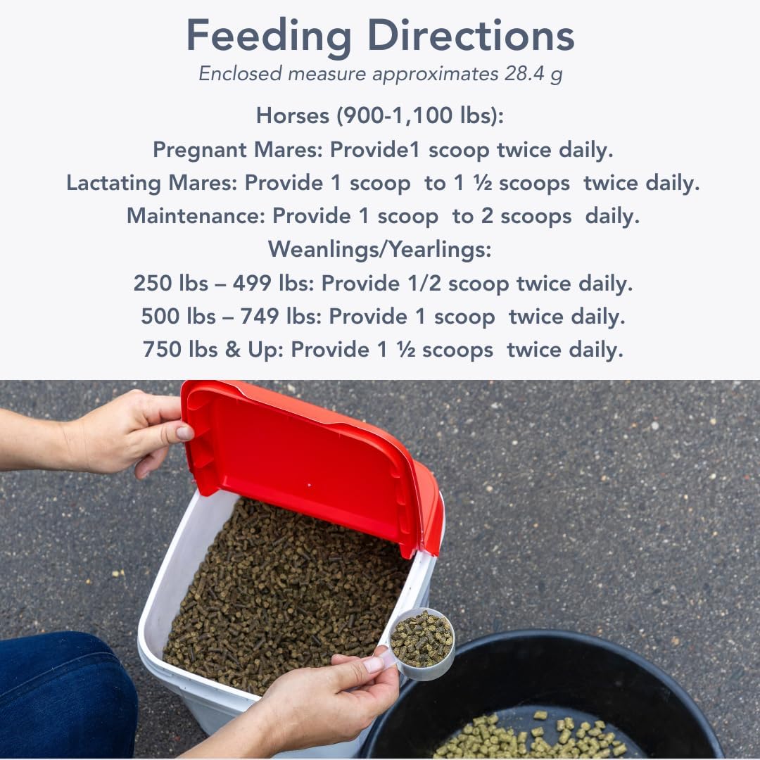 MVP Mare Foal II-P (50 lb) Balanced Multi Vitamin/Mineral Supplement for Mares, Foals & Yearlings