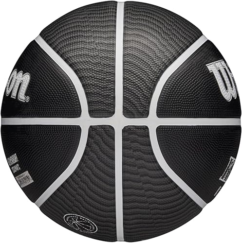Miniatura 7 de WILSON NBA Player Icon Basketballs - Size 3 and Size 7