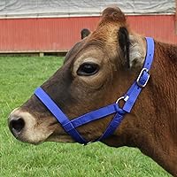 Vista 8 de Derby Originals Cabestros Ajustables de Nylon para Ganado Bovino Rosado