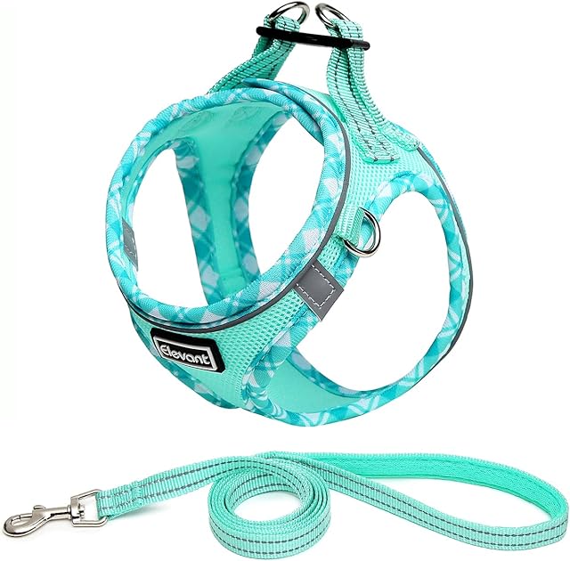 Elevant Step-in Dog Harness and Lead Set, Soft Mesh Adjustable Reflective Breathable No Pull Puppy Dog Vest Harnesses for Small Medium Dogs, Cats, Puppies (XXS, Light Green)