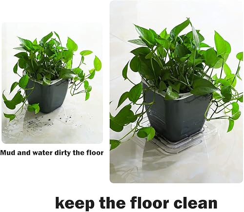 Miniatura 3 de UltraOutlet Paquete de 30 bandejas cuadradas para macetas, platillos de 4 pulgadas para plantas de exterior e interior, platillos transparentes para