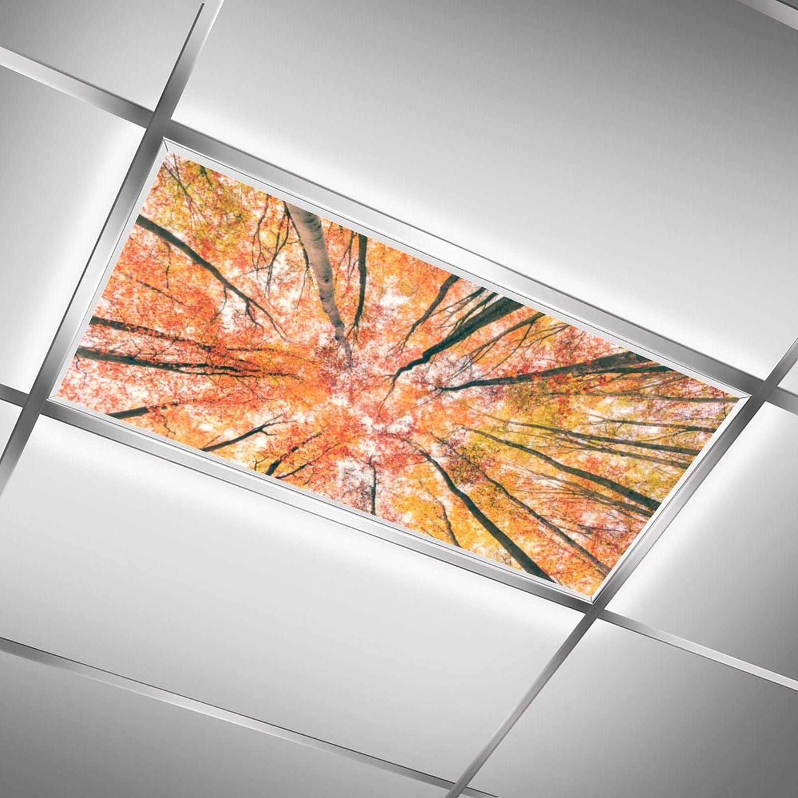 Fluorescent Light Covers for Classroom Ceiling Lights Light