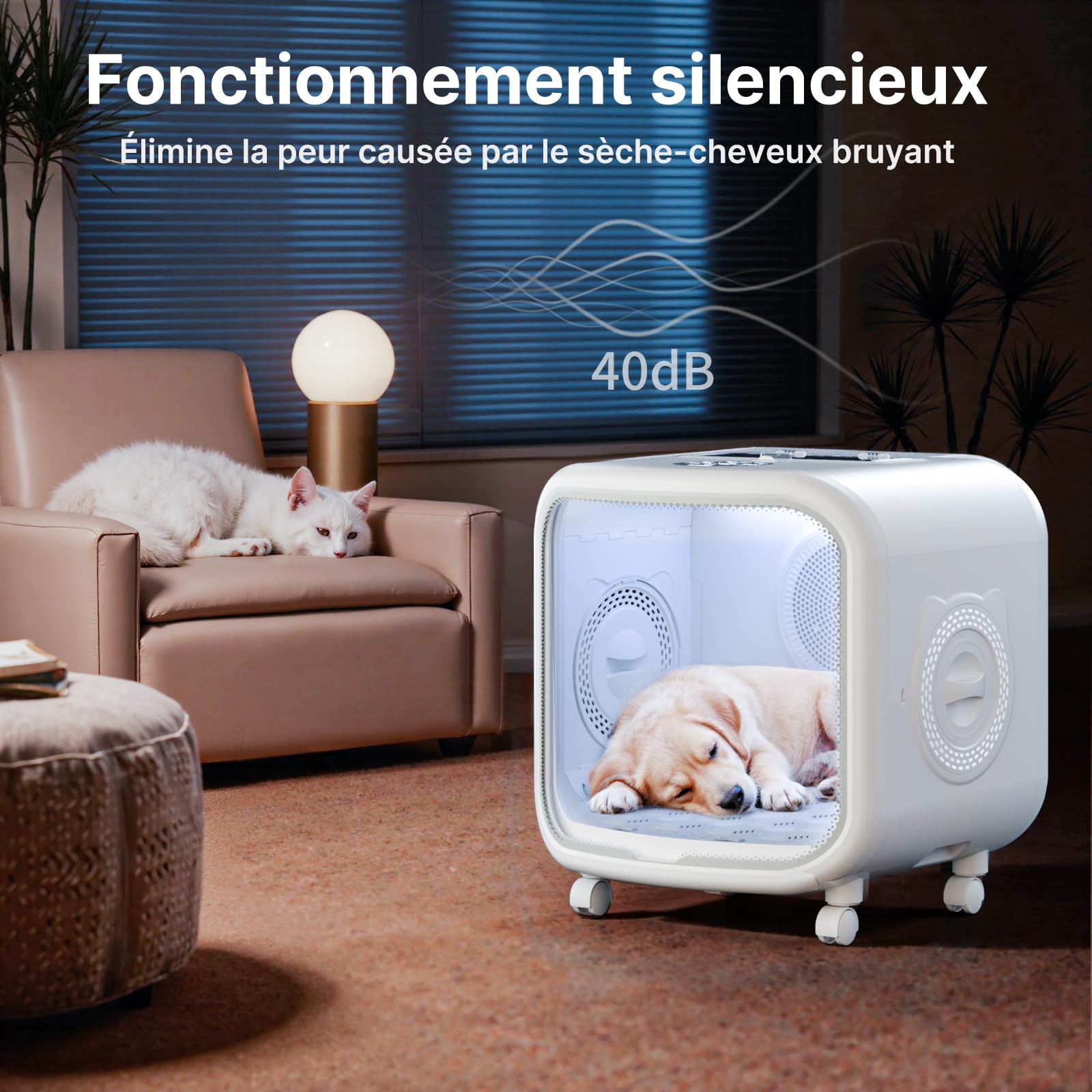 Pet Dryer - Sèche-cheveux pour chien - Efficace à 360 ° - Automatique et silencieux - Avec réglage intelligent de la température - Idéal pour les chats et les petits chiens