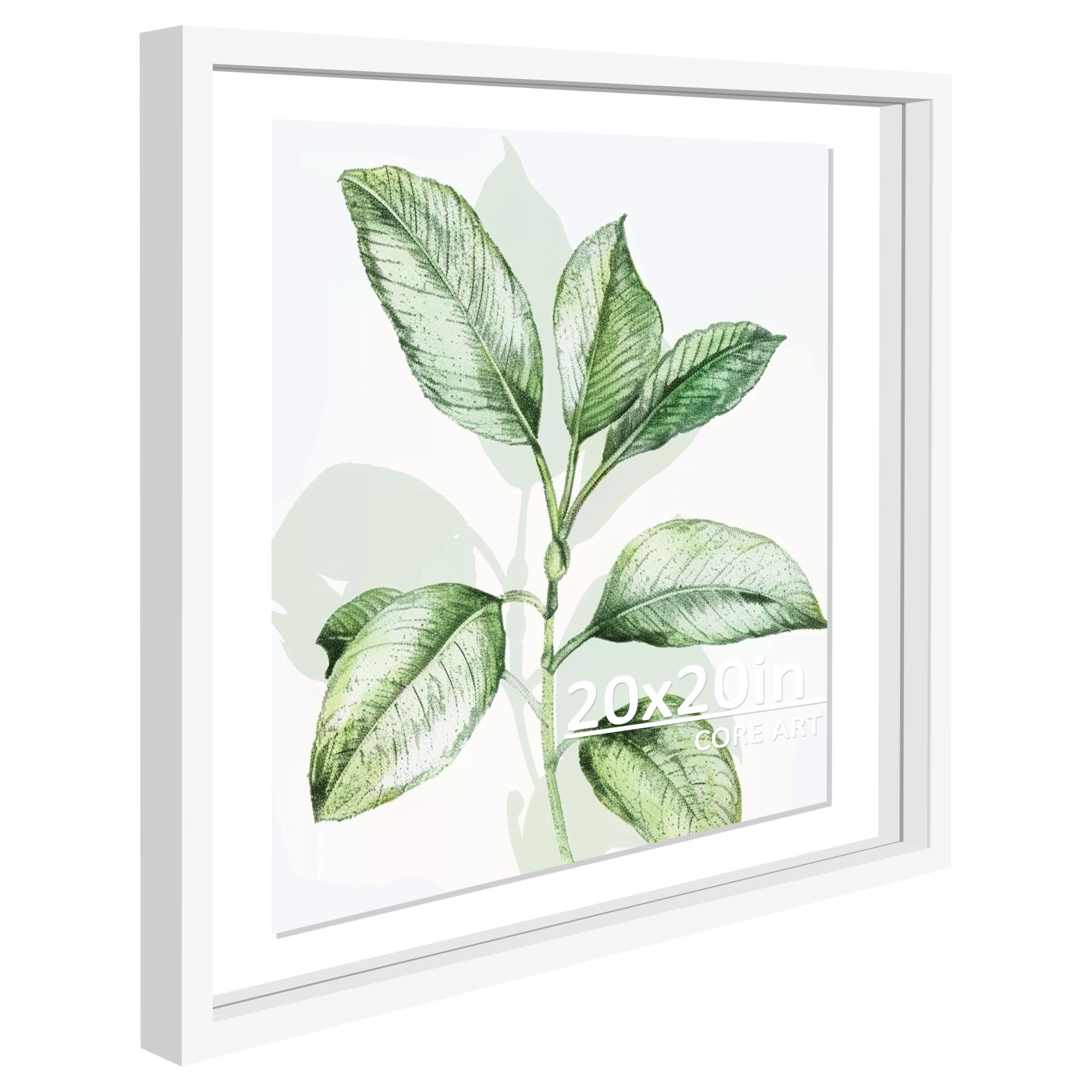 CORE ART 20x20 Floating Frame