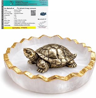 DIVARTH Original Certified Pyrite Tortoise (3x1 Inch) with Selenite Charging Plate, Vastu & Feng Shui Crystal Turtle for G... Price In India