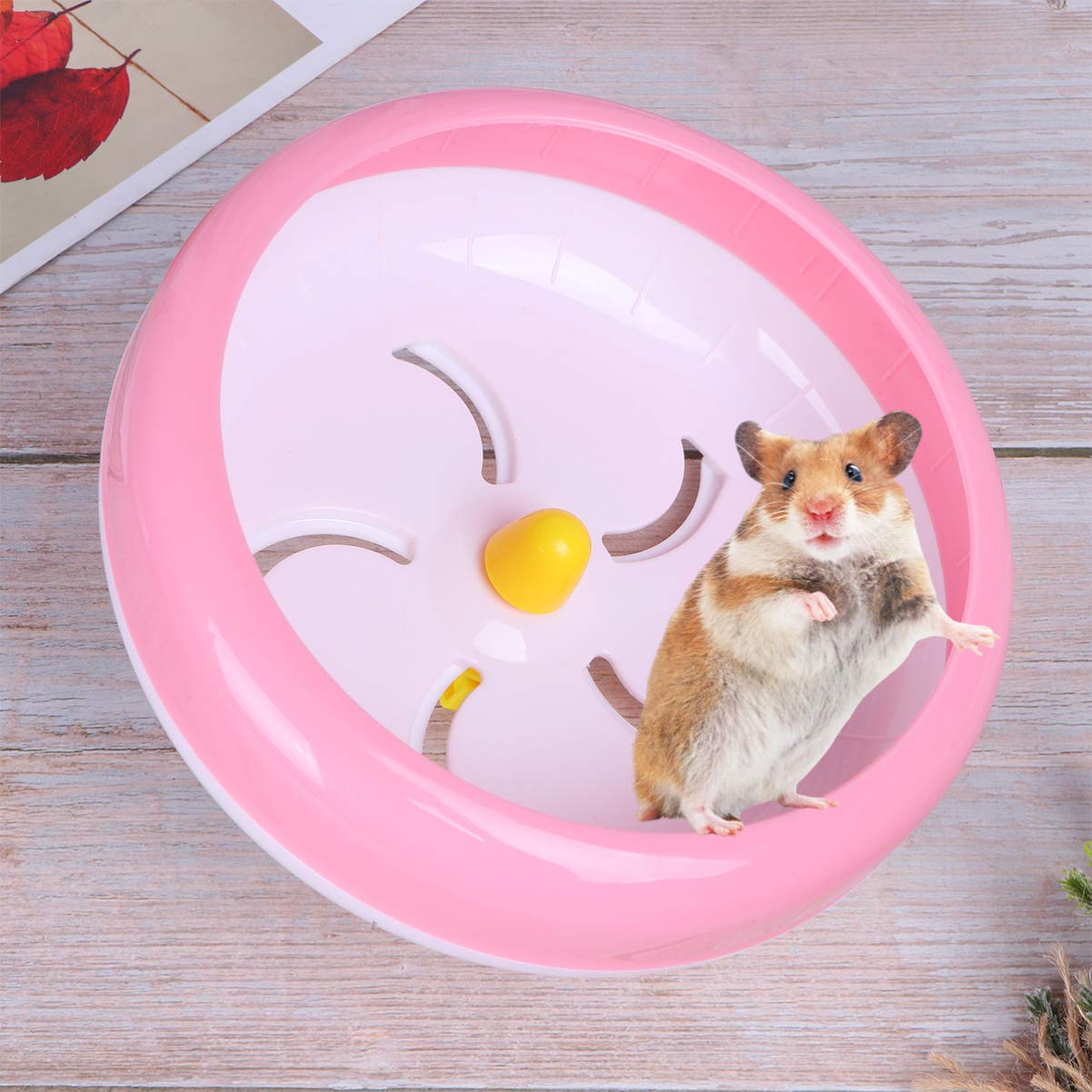 POPETPOP Hamster Silent Wheel Small Pet Running Wheel Toys Encourage Healthy Exercise for Gerbils Random