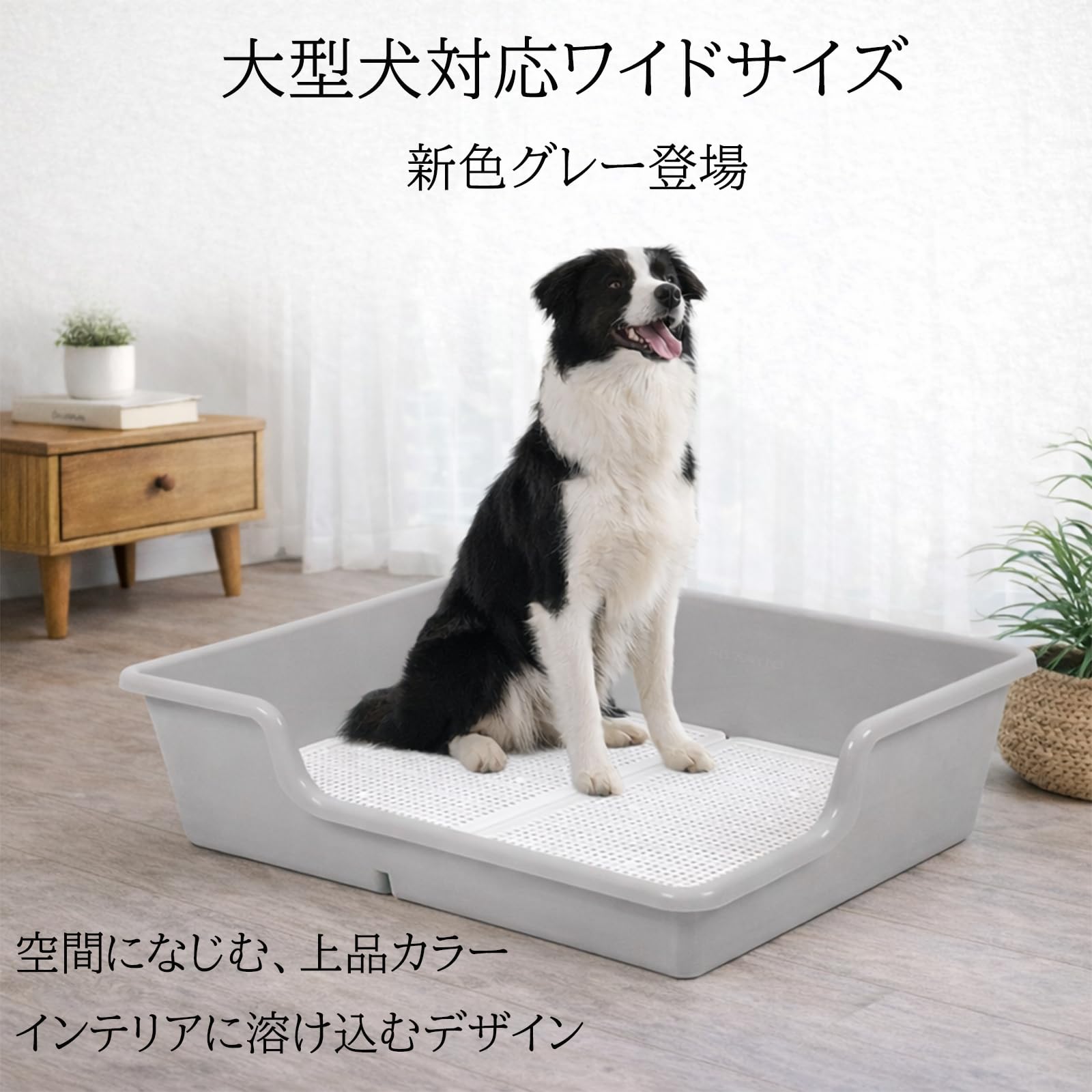 Amazon | 犬 トイレ トレー 特大 スーパー ワイド (グレー, 取替