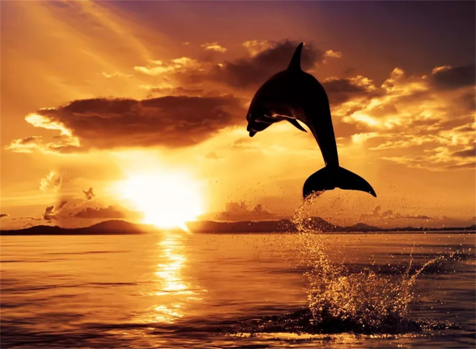 Puzzle Delfin o zachodzie słońca 1000 sztuk,Puzzle DIY dla dorosłych,Klasyczna łamigłówka dla dorosłych Kreatywna rozrywka, wymagające gry