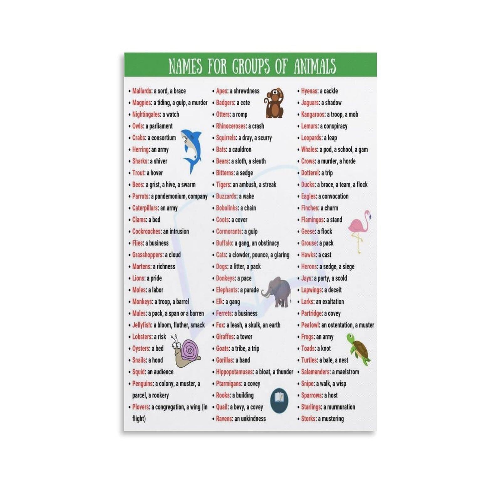 SSOPTMCB Animal Collective Nouns Chart, Group Names Terminology Educational Wall Decor for Classroom, Library, Nursery(Unframed,12x18inch(30x45cm))