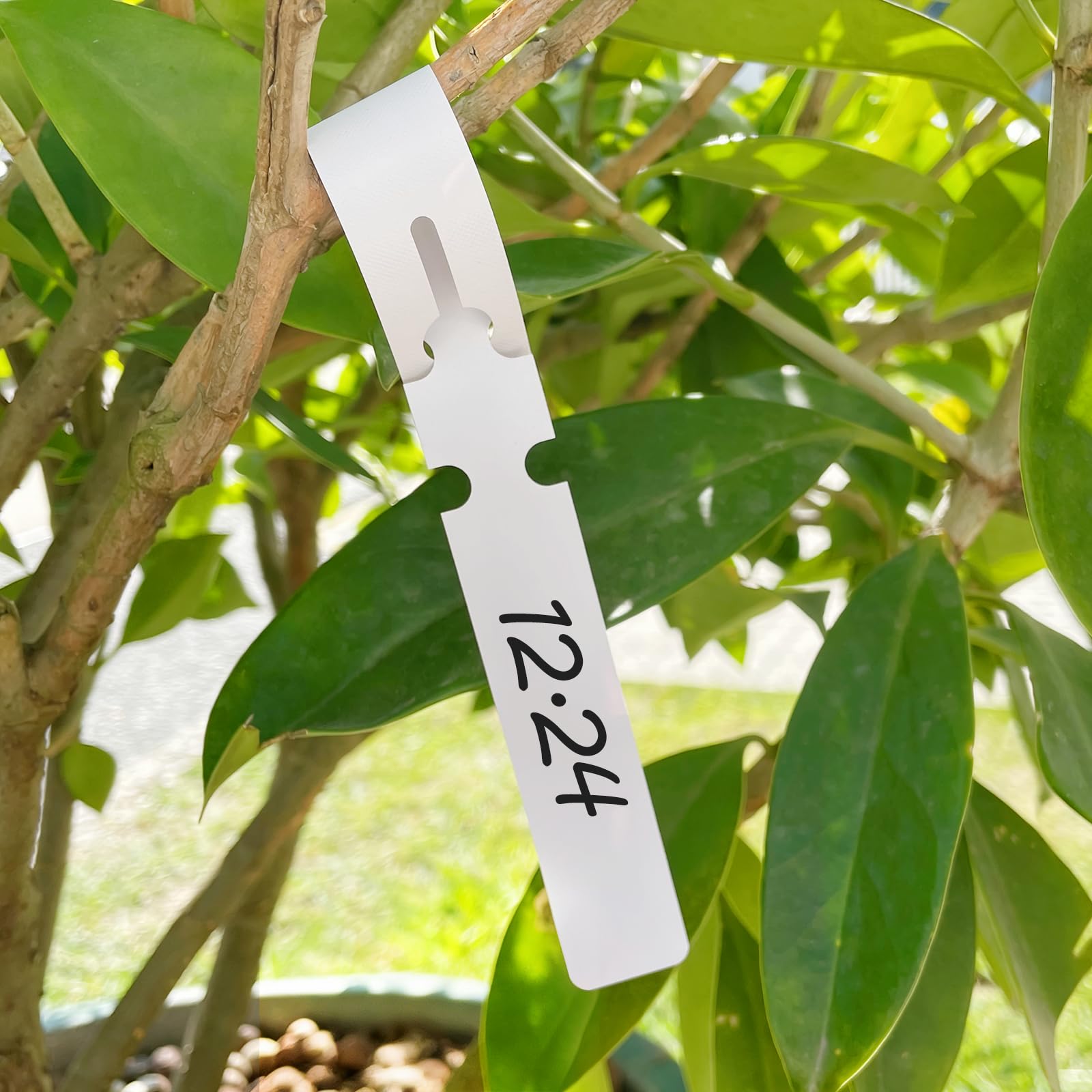 400 Piezas Etiquetas Plantas de Plástico, Colgantes Etiqueta Jardinería Impermeables, Etiqueta Jardinería Impermeables, 21 * 2 cm, para Jardín, para Guardería y Huerto, Blanco