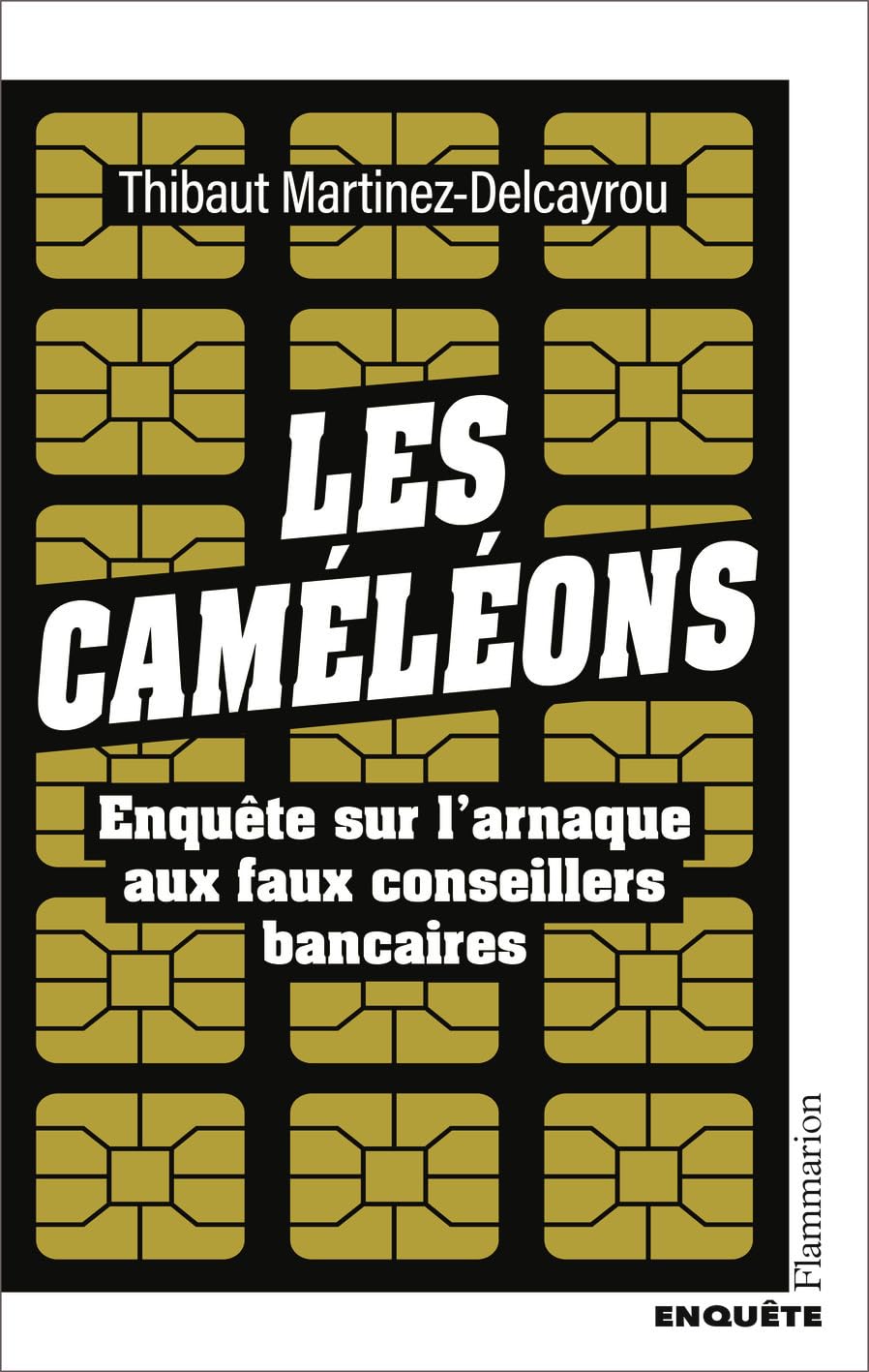 Les Caméléons: Enquête sur l'arnaque aux faux conseillers bancaires