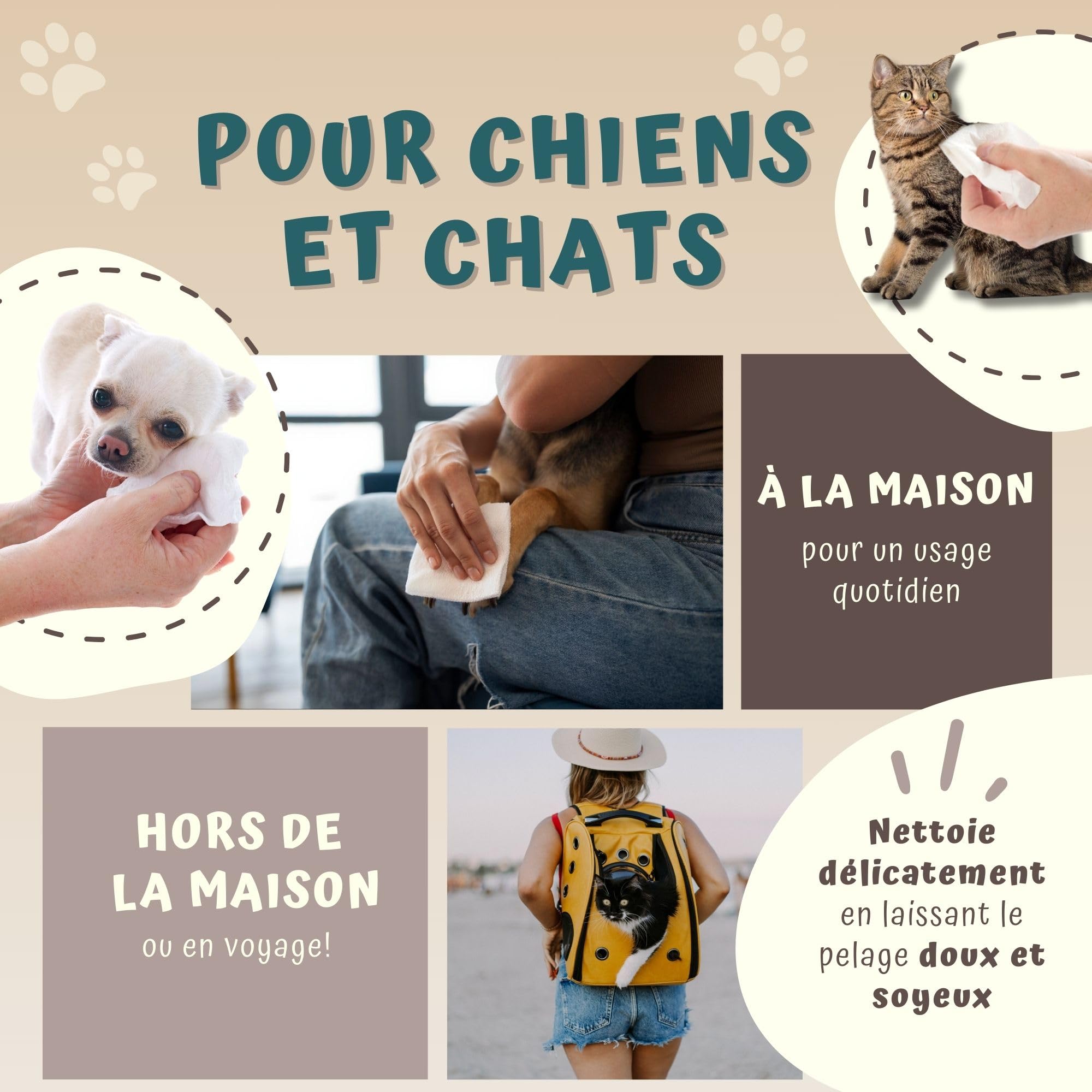 Beauty Case Lingette Chien 480 pcs (12x40) - Lingettes Douces pour Chien, Chiot et Chat - Extra Large 20x30cm - Corps et Pattes - Senteur Fleurs Fraîches & Agrumes