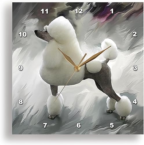 3dRose LLC Reloj de pared estándar caniche, 10 x 10 pulgadas
