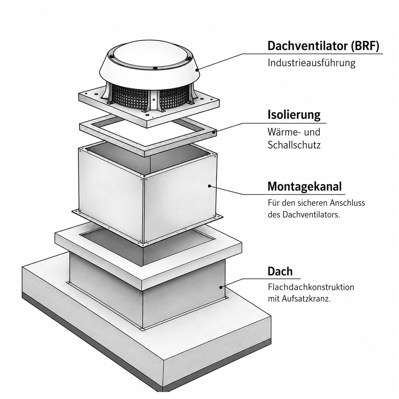 BVN VENTILATION SYSTEMS & ELECTRICAL MOTORS Dachlüfter Dachventilator Turbine Windbetrieben | Edelstahl | Zentrifugal Ventilator für Dach | 160 180 225 250 315 355 400 mm mit Drehzahlregler (180)