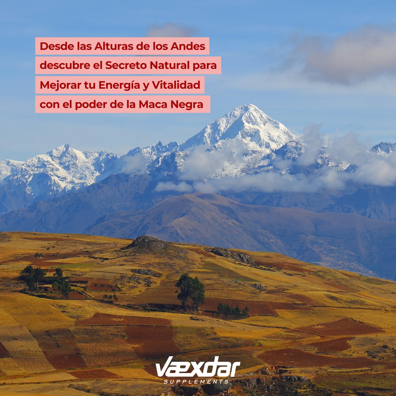 Maca Negra Andina 40.000mg - Extracto 20:1 - Maca Negra Peruana + L-Arginina + Ginseng + Zinc + Vitamina C, B6 y B12 - Alta Concentración - Potencia tu Energía y Vitalidad - 120 Cápsulas - Vaexdar