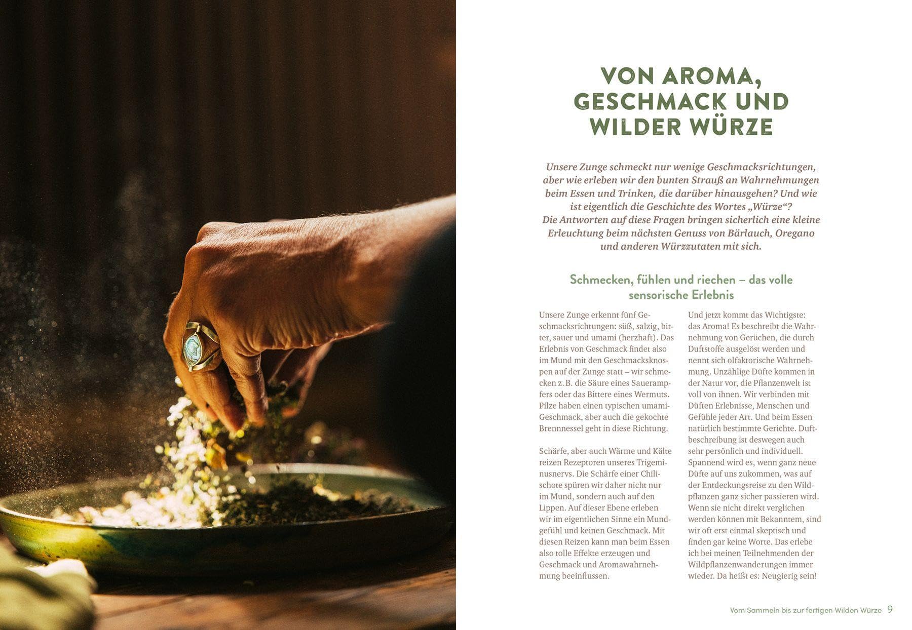 Wilde Würze: Raffinierte Gewürzmischungen aus Wild- und Gartenkräutern