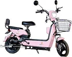 Bicicleta Elétrica 350W Adulto Sem Cnh