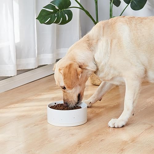 Miniatura 5 de Oslo - Cuenco de cerámica para perros, cuenco de agua de 8 pulgadas para perros medianos y grandes, plato antideslizante resistente para perros,