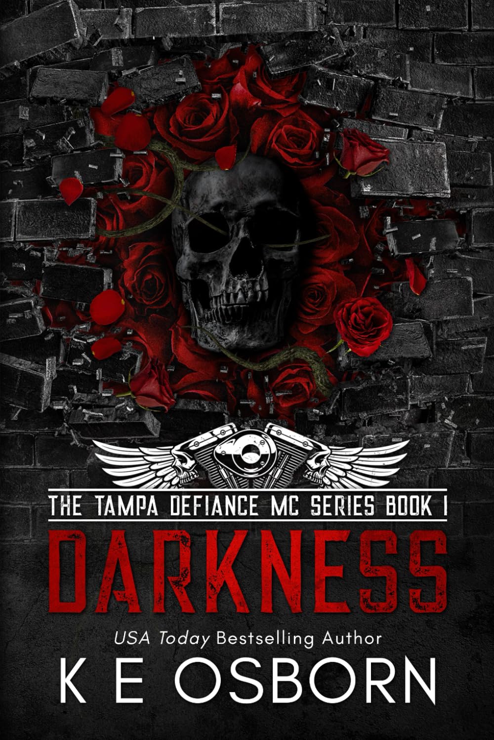 Darkness (The Tampa Defiance MC Series)