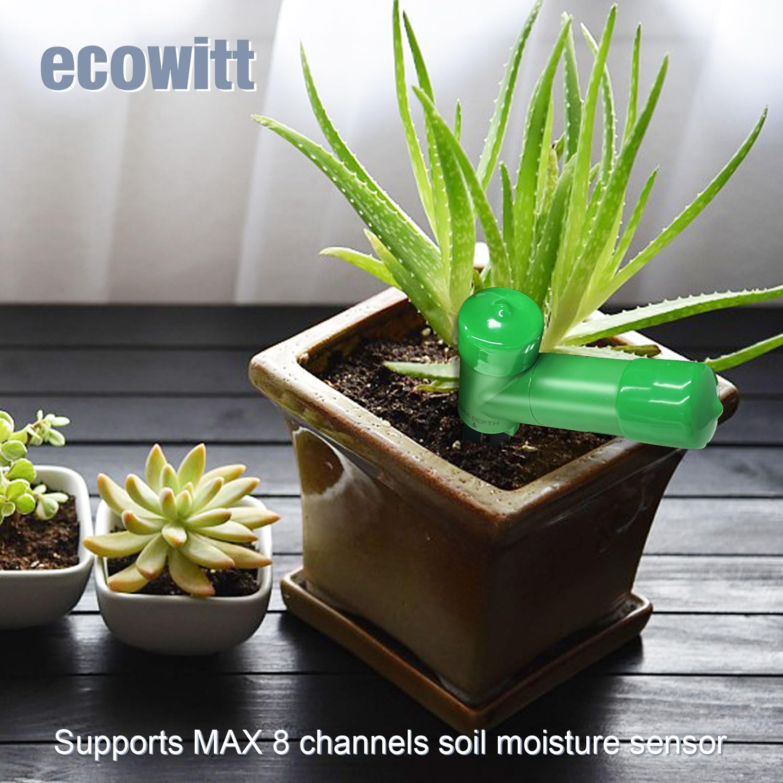ECOWITT sensore di umidità del Terreno, Monitor per l'irrigazione delle Piante, misuratore di umidità del Suolo, Set da 4 Pezzi WH51 + Gateway Wi-Fi per Interni GW1200 con sensori 3 in 1