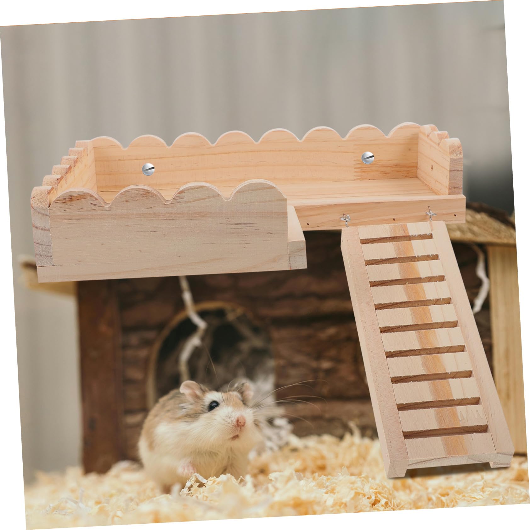 Hamsterplattform aus Massivem Holz Plattformspielzeug für Kleintiere Einfache Montage Leicht zu Verstauen für Chinchilla Ratte
