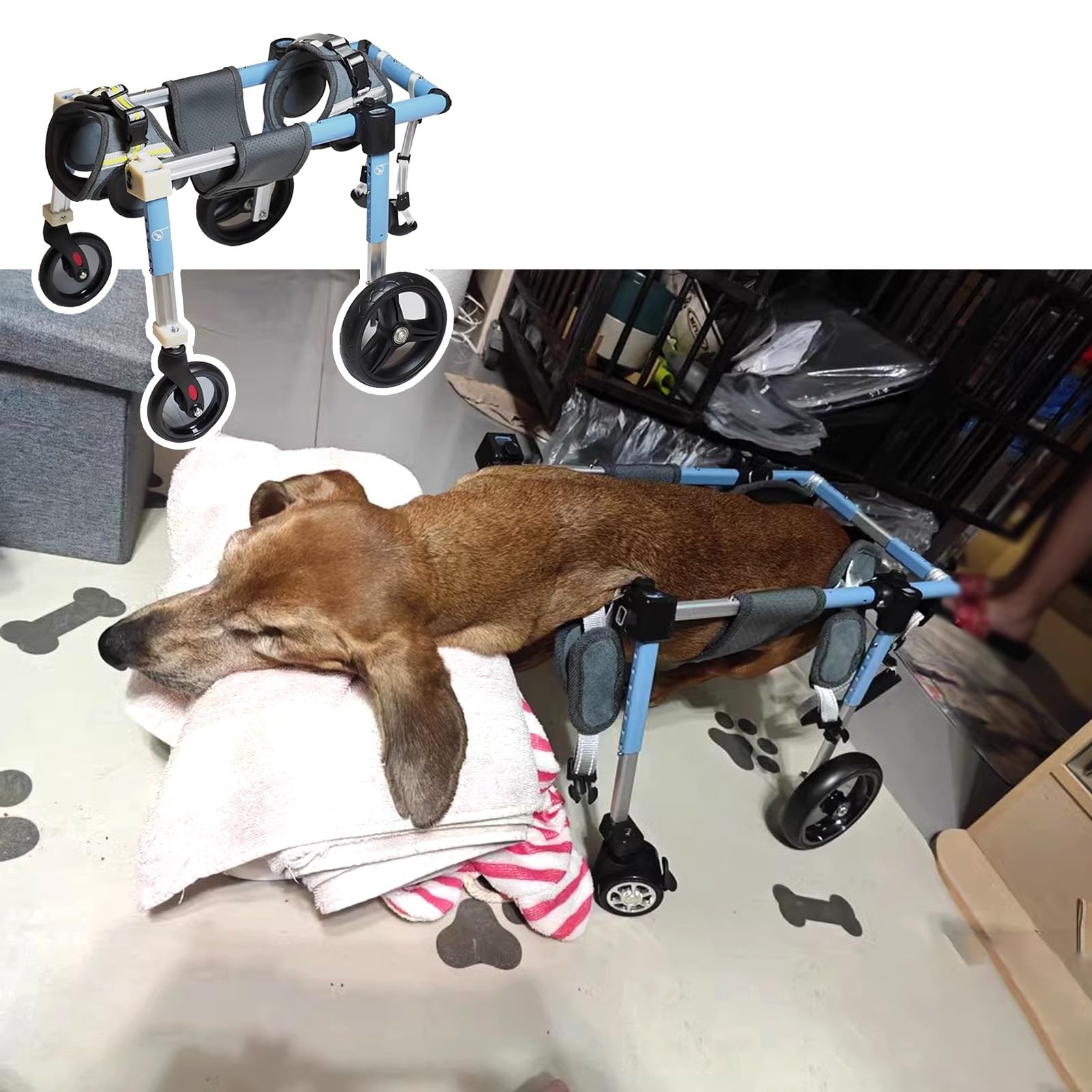 Fauteuil roulant réglable pour chien âgé avec assistance intégrale