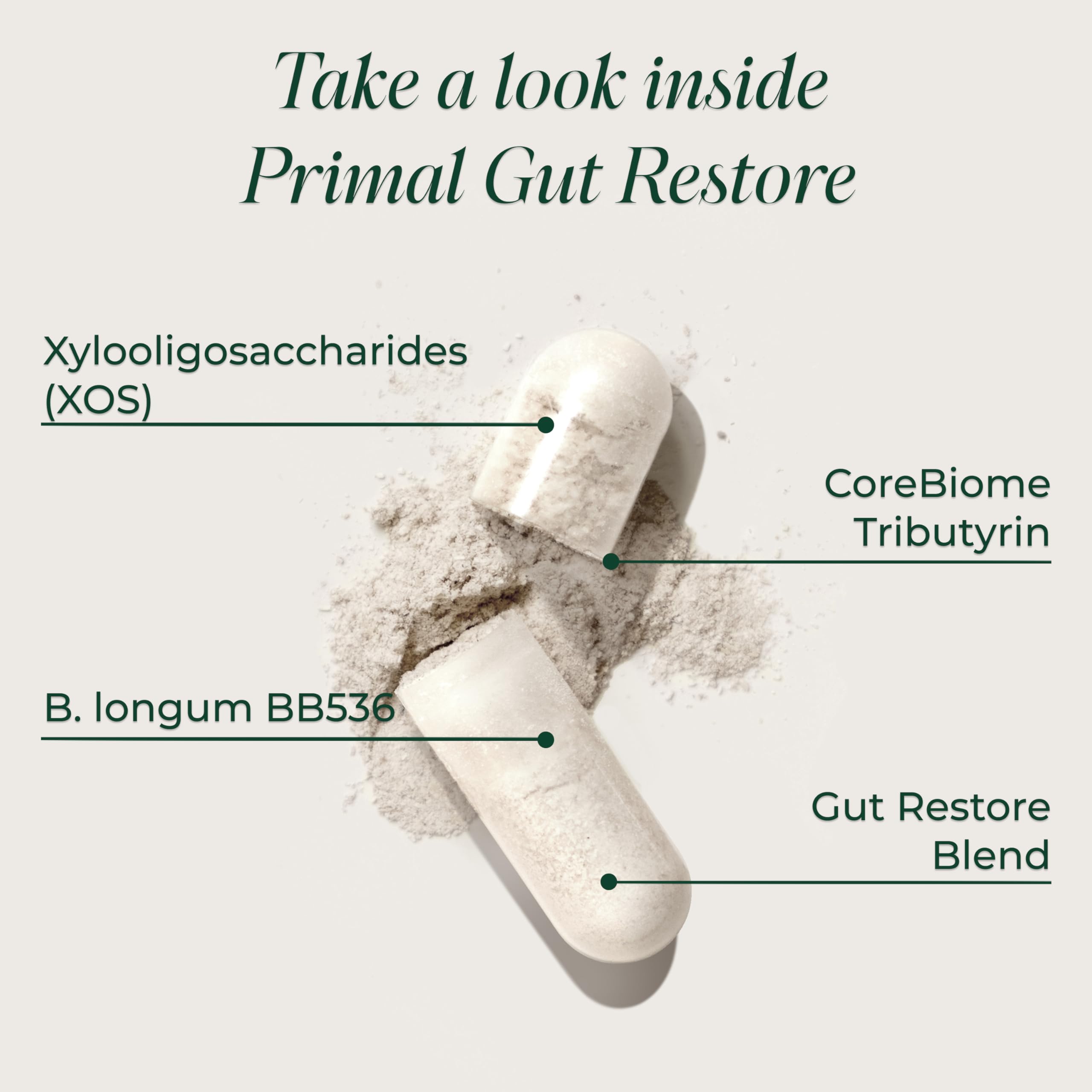 Primal Harvest Gut Restore - Daily Supplement, Gluten & Dairy Free, Vegan — Amazon image 3