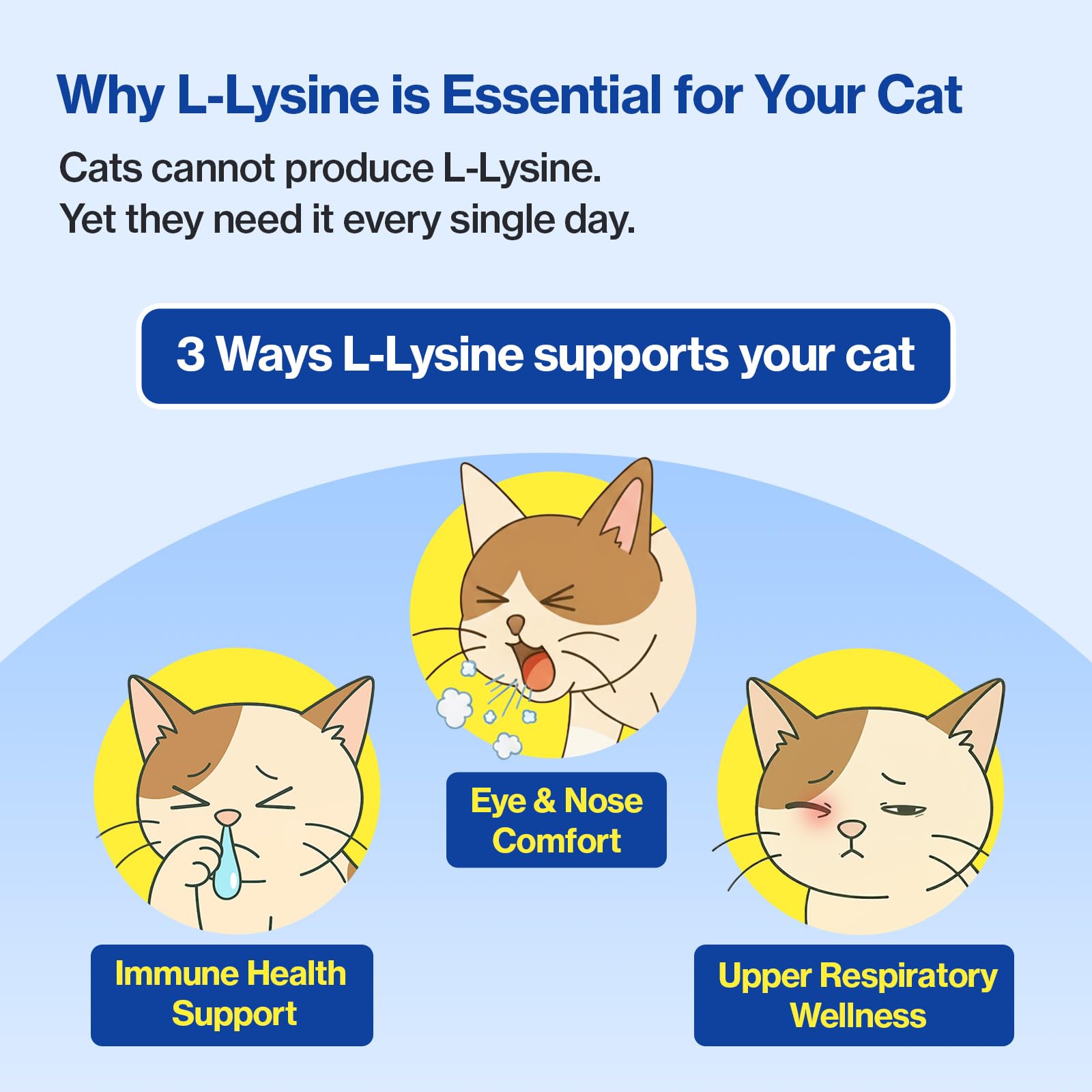 Doctor By FELYSIN L-Lysine for Cats Lickable Immune Support Supplement Allergy Relief, Sneezing, Runny Nose, Cold, Watery Eyes Respiratory Health with Beta-Glucan & Taurine – 30 Individually Packaged — Amazon image 6