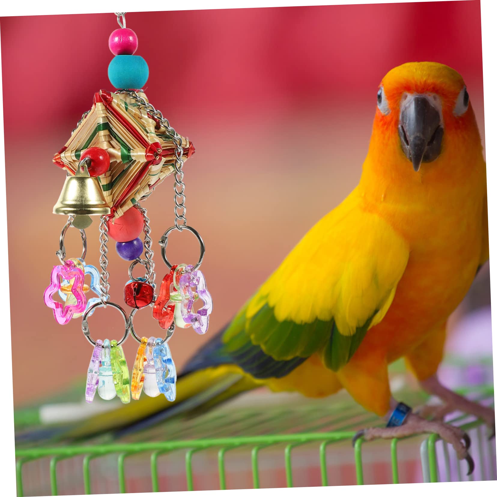 BESPORTBLE 5piezas Juguete De Masticar para Pájaros De Acrílico Colgante para Jaula De Mascotas Juguete Divertido para Periquitos y Cacatúas para Ejercicio y Entretenimiento