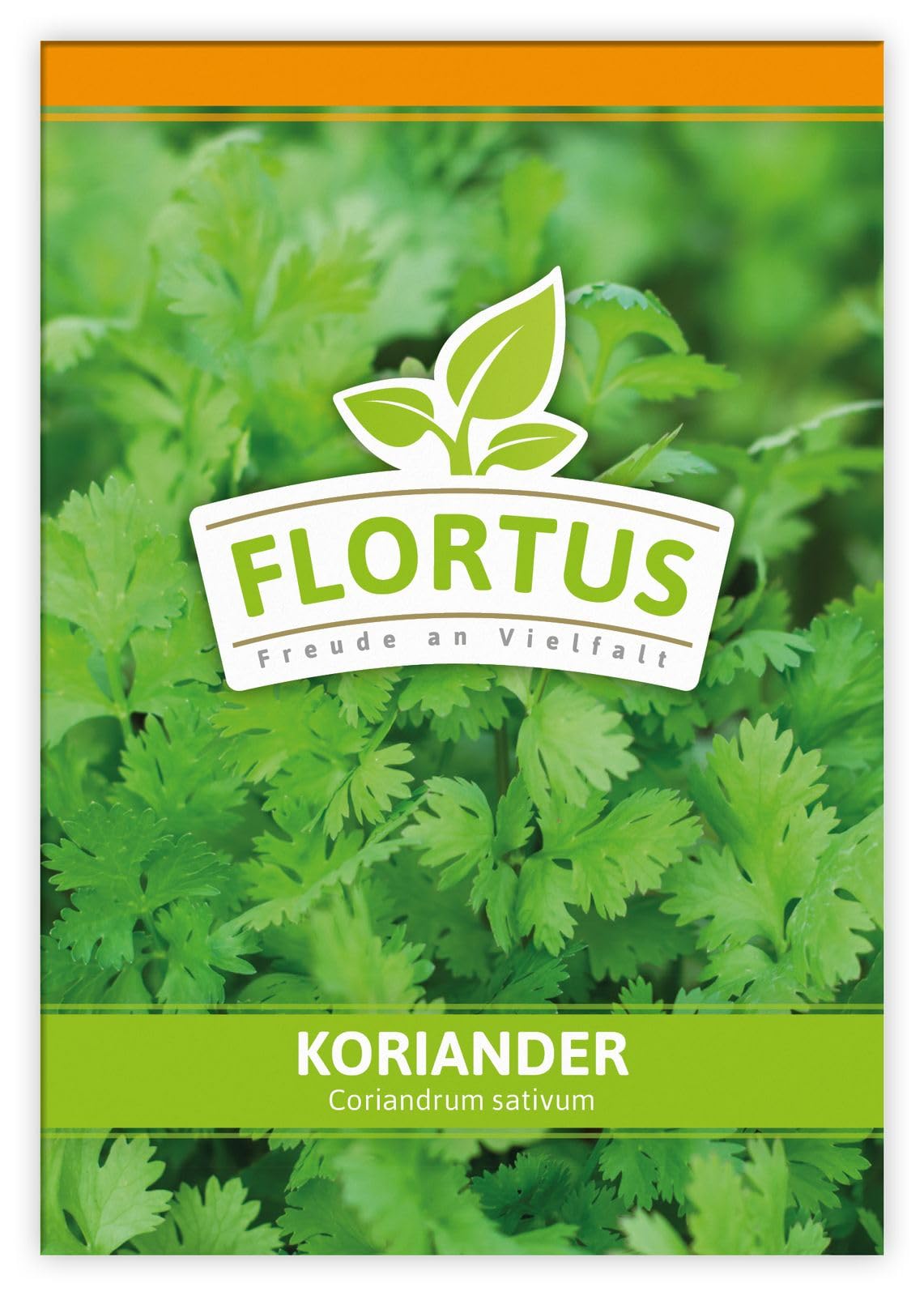 FLORTUS 2000-0050-100x Koriander (100 Tütchen) (Koriandersamen)