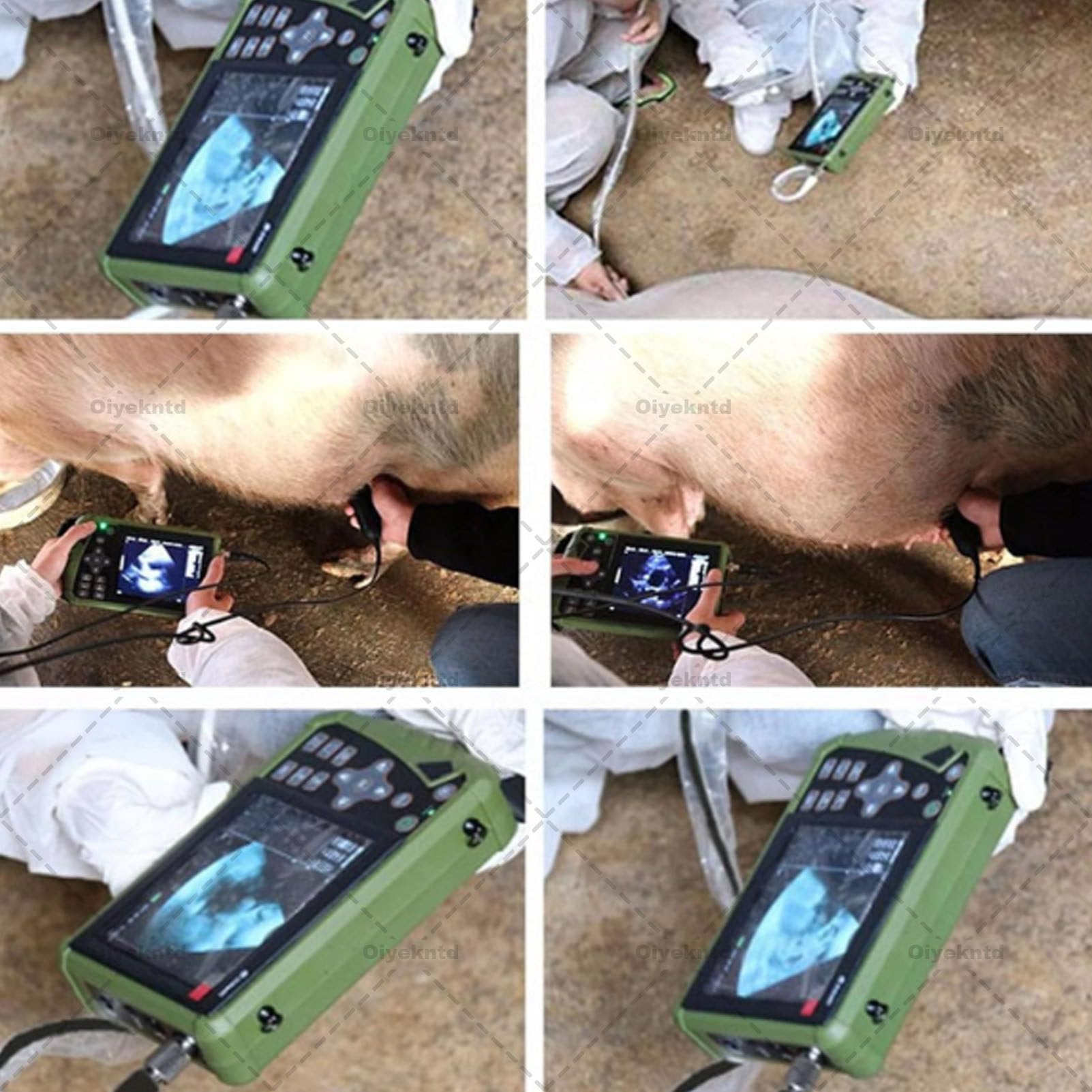 Scanner Portatile per Animali B-Ultrasound, Macchina per ecografia diagnostica veterinaria in Gravidanza con sonda Convessa da 3,5 MHz per Pecore, Cani, Gatti e maiali