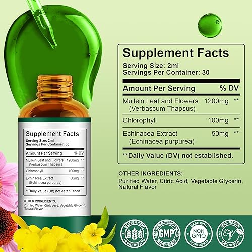 Miniatura 7 de Paquete de 2 gotas de gordolobo para pulmones, 1200 mg de extracto de hoja de gordolobo gotas líquidas con clorofila para limpieza y desintoxicación